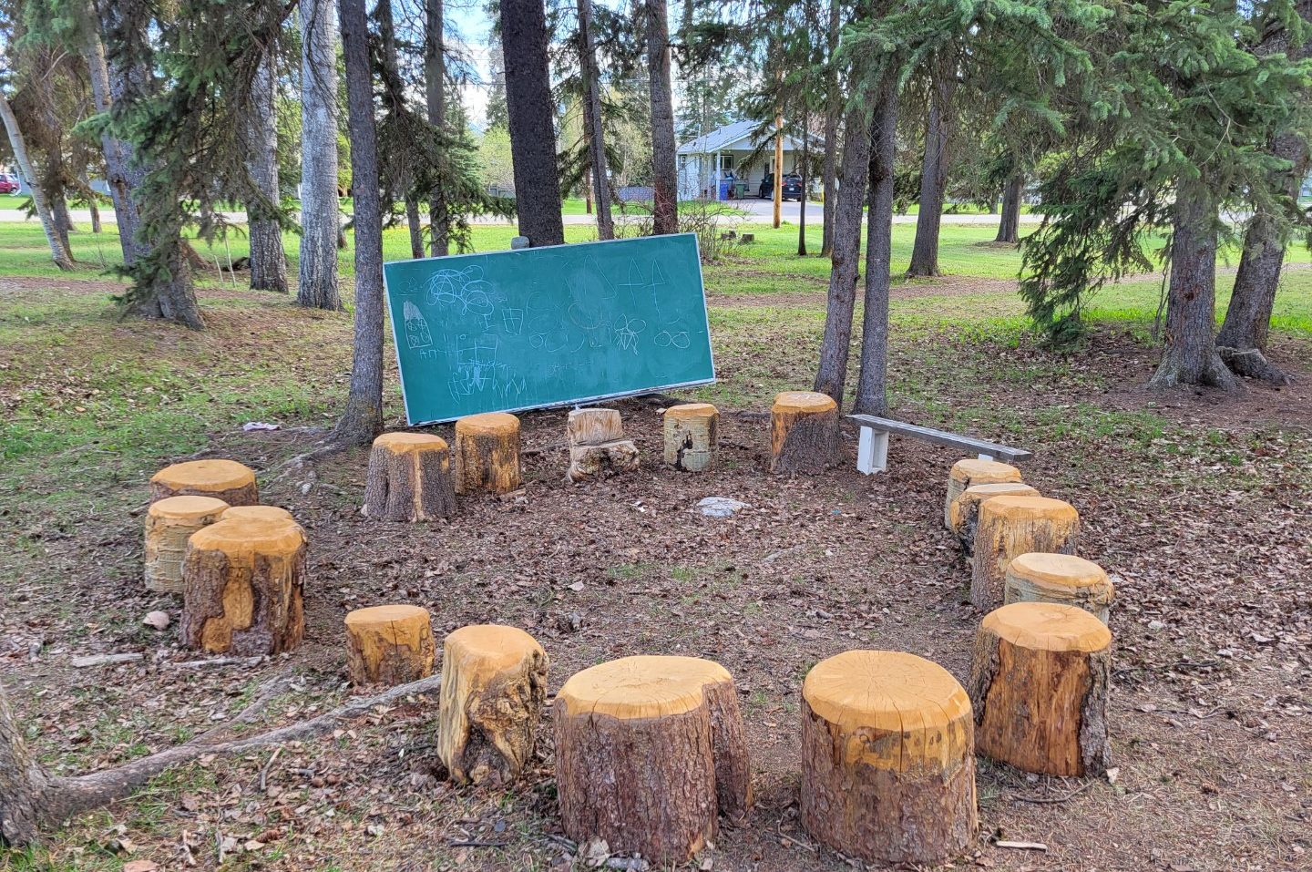 Learning Circle with Tree stumps for seating and blackboard for teaching out in nature
